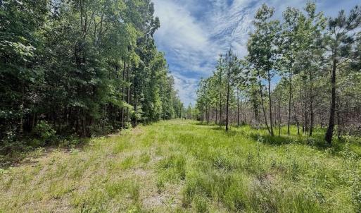 Photo #64 of Off Indian Woods Road, Windsor, NC 17.6 acres