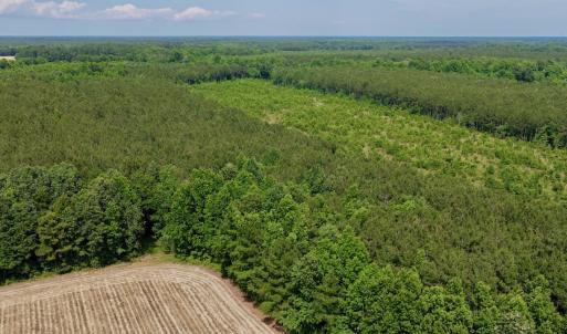 Photo #1 of Off of Republican RD, Windsor, NC 3.8 acres