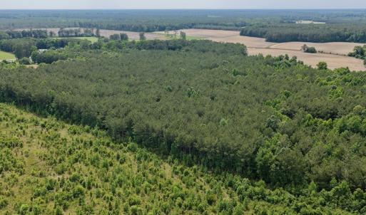 Photo #2 of Off of Republican RD, Windsor, NC 3.8 acres