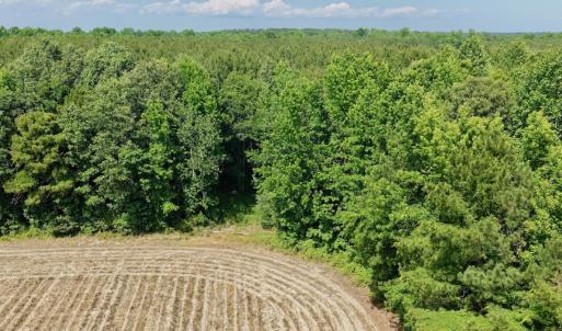 Photo #4 of Off of Republican RD, Windsor, NC 3.8 acres