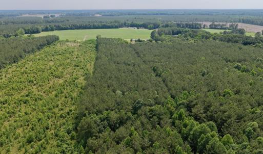 Photo #8 of Off of Republican RD, Windsor, NC 3.8 acres