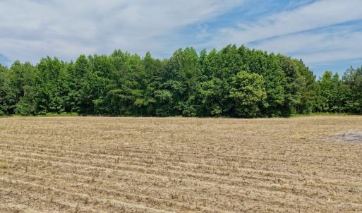 Photo #11 of Off of Republican RD, Windsor, NC 3.8 acres