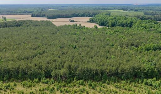 Photo #17 of Off of Republican RD, Windsor, NC 3.8 acres