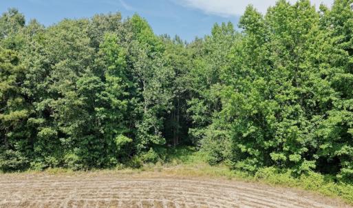 Photo #20 of Off of Republican RD, Windsor, NC 3.8 acres