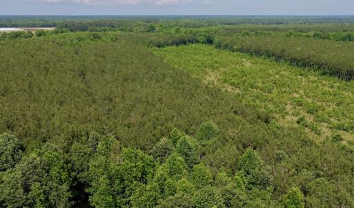 Photo #14 of Off of Republican RD, Windsor, NC 3.8 acres