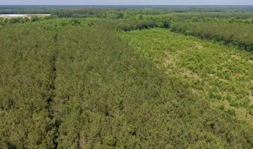 Photo #15 of Off of Republican RD, Windsor, NC 3.8 acres