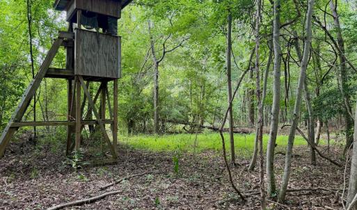 Photo #23 of Off of Republican RD, Windsor, NC 3.8 acres