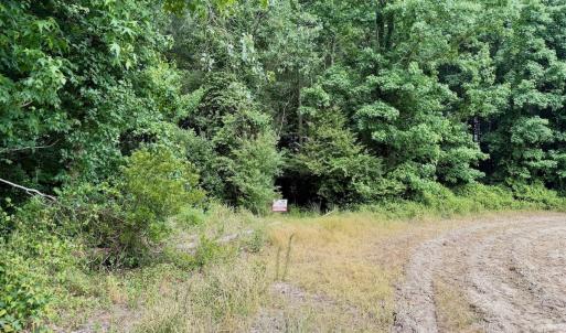 Photo #24 of Off of Republican RD, Windsor, NC 3.8 acres