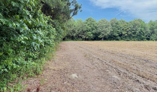 Photo #26 of Off of Republican RD, Windsor, NC 3.8 acres