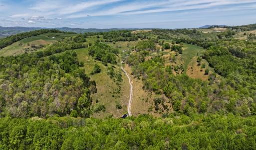 Photo #28 of 453 Long Hollow Rd, Cleveland, VA 103.2 acres