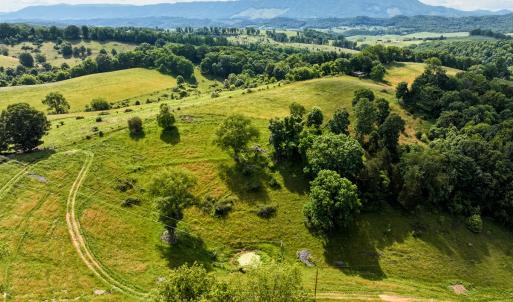 Photo #3 of 453 Long Hollow Rd, Cleveland, VA 103.2 acres