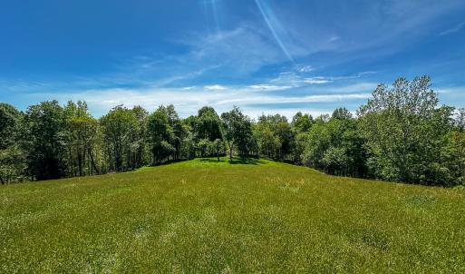 Photo #46 of 453 Long Hollow Rd, Cleveland, VA 103.2 acres