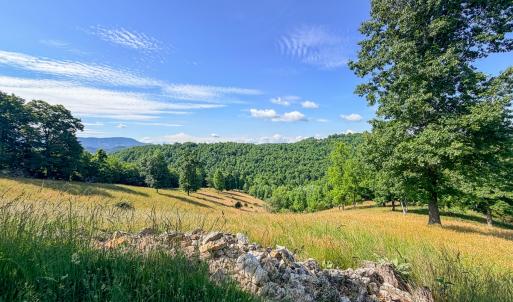 Photo #49 of 453 Long Hollow Rd, Cleveland, VA 103.2 acres