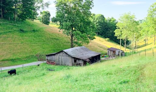 Photo #5 of 453 Long Hollow Rd, Cleveland, VA 103.2 acres