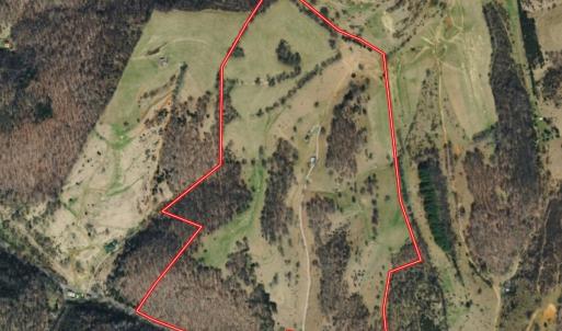 Photo #50 of 453 Long Hollow Rd, Cleveland, VA 103.2 acres