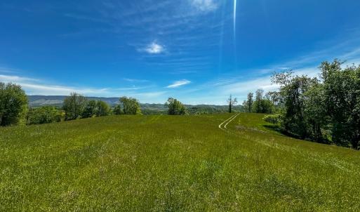 Photo #53 of 453 Long Hollow Rd, Cleveland, VA 103.2 acres