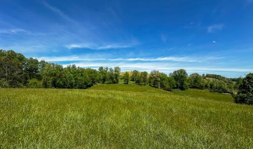 Photo #54 of 453 Long Hollow Rd, Cleveland, VA 103.2 acres