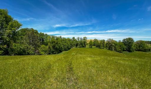 Photo #55 of 453 Long Hollow Rd, Cleveland, VA 103.2 acres