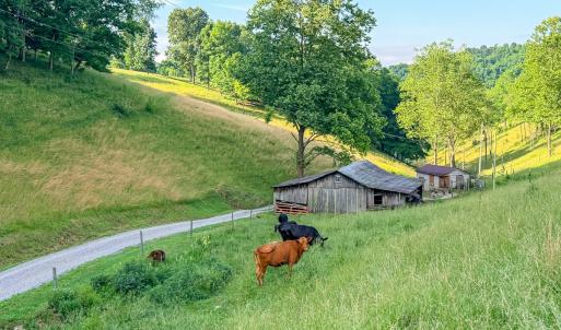 Photo #57 of 453 Long Hollow Rd, Cleveland, VA 103.2 acres