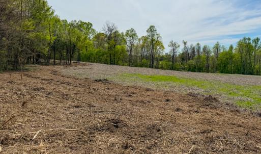 Photo #3 of Off of Pentecost Road, Cedar Grove, NC 23.3 acres