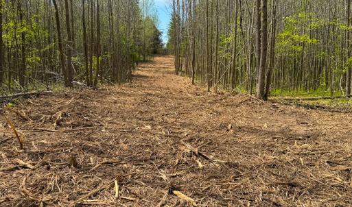 Photo #5 of Off of Pentecost Road, Cedar Grove, NC 23.3 acres