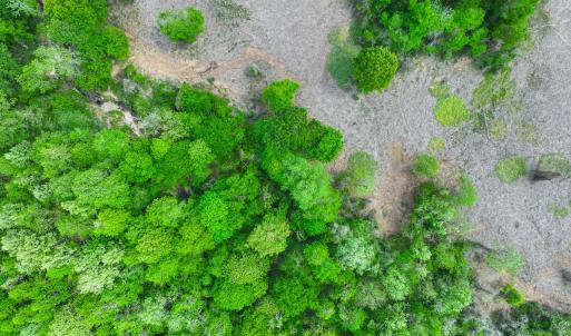 Photo #6 of Off of Pentecost Road, Cedar Grove, NC 23.3 acres