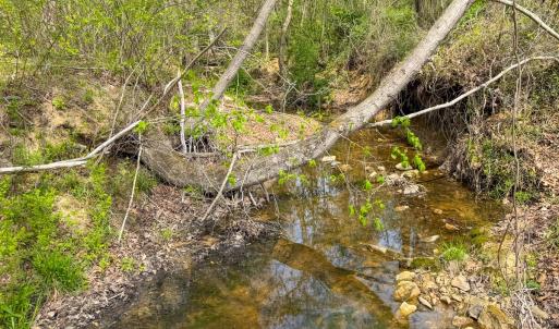 Photo #7 of Off of Pentecost Road, Cedar Grove, NC 23.3 acres