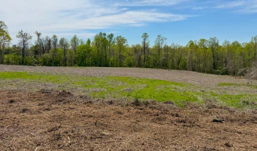 Photo #15 of Off of Pentecost Road, Cedar Grove, NC 23.3 acres