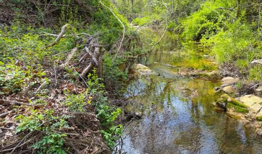 Photo #16 of Off of Pentecost Road, Cedar Grove, NC 23.3 acres
