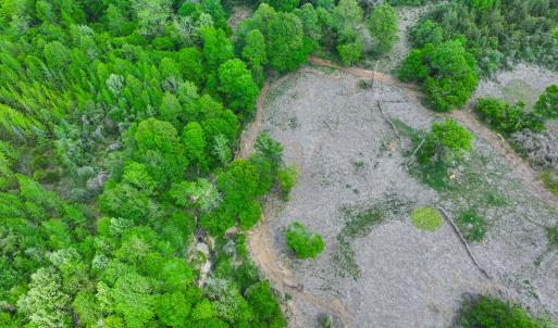 Photo #22 of Off of Pentecost Road, Cedar Grove, NC 23.3 acres