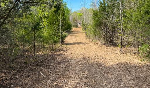 Photo #23 of Off of Pentecost Road, Cedar Grove, NC 23.3 acres