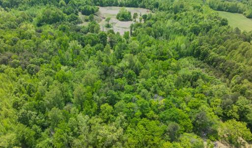 Photo #25 of Off of Pentecost Road, Cedar Grove, NC 23.3 acres