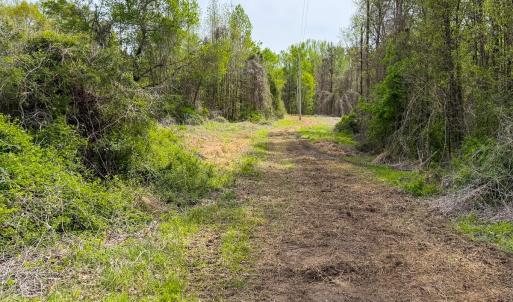 Photo #27 of Off of Pentecost Road, Cedar Grove, NC 23.3 acres