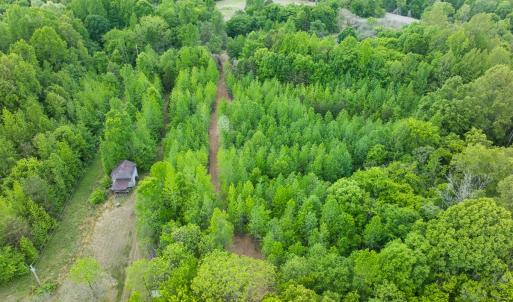 Photo #28 of Off of Pentecost Road, Cedar Grove, NC 23.3 acres