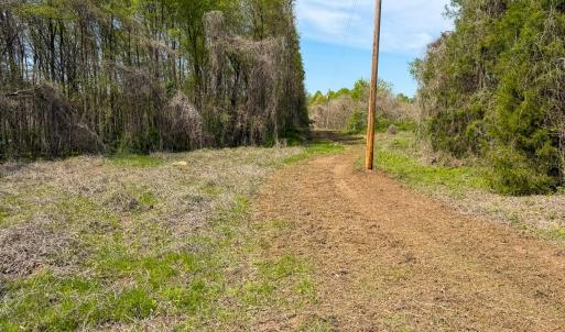 Photo #29 of Off of Pentecost Road, Cedar Grove, NC 23.3 acres