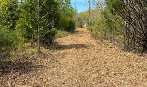 Photo #33 of Off of Pentecost Road, Cedar Grove, NC 23.3 acres