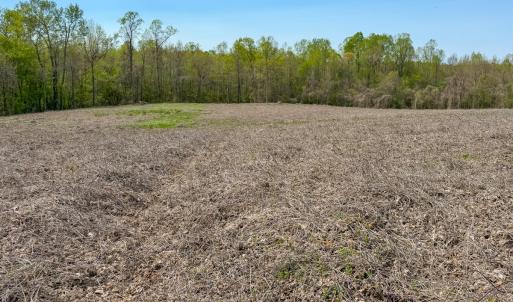 Photo #35 of Off of Pentecost Road, Cedar Grove, NC 23.3 acres