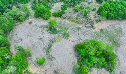 Photo #38 of Off of Pentecost Road, Cedar Grove, NC 23.3 acres