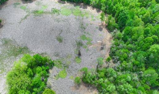 Photo #40 of Off of Pentecost Road, Cedar Grove, NC 23.3 acres