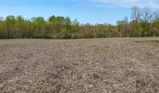 Photo #41 of Off of Pentecost Road, Cedar Grove, NC 23.3 acres