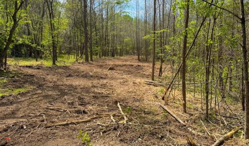 Photo #43 of Off of Pentecost Road, Cedar Grove, NC 23.3 acres