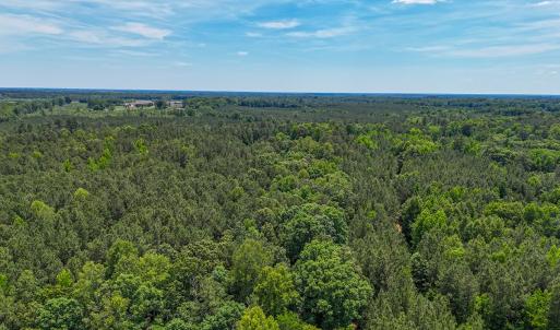 Photo #16 of 9013 Southampton Pkwy, Drewryville, VA 17.5 acres
