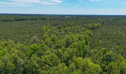 Photo #17 of 9013 Southampton Pkwy, Drewryville, VA 17.5 acres