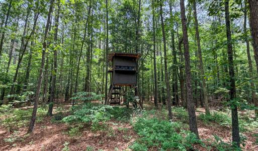 Photo #19 of 9013 Southampton Pkwy, Drewryville, VA 17.5 acres