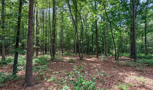 Photo #20 of 9013 Southampton Pkwy, Drewryville, VA 17.5 acres
