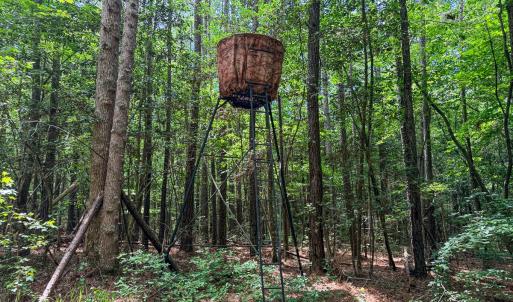 Photo #26 of 9013 Southampton Pkwy, Drewryville, VA 17.5 acres