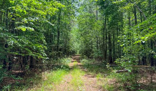 Photo #27 of 9013 Southampton Pkwy, Drewryville, VA 17.5 acres