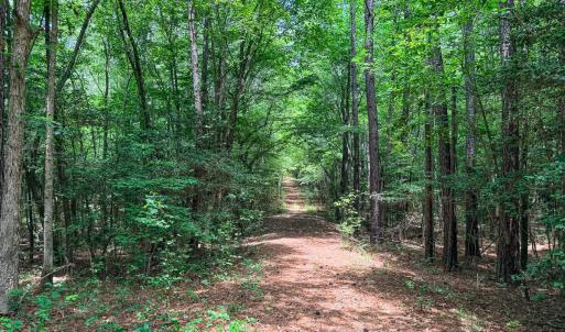 Photo #28 of 9013 Southampton Pkwy, Drewryville, VA 17.5 acres