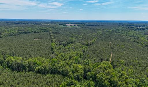 Photo #4 of 9013 Southampton Pkwy, Drewryville, VA 17.5 acres