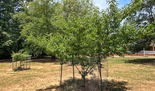 Photo #48 of 9013 Southampton Pkwy, Drewryville, VA 17.5 acres